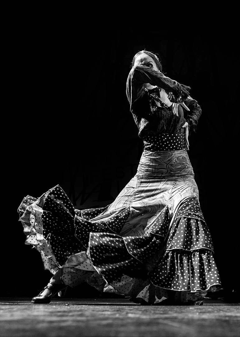 Una bailarina vista de espaldas con la falda desplegada.